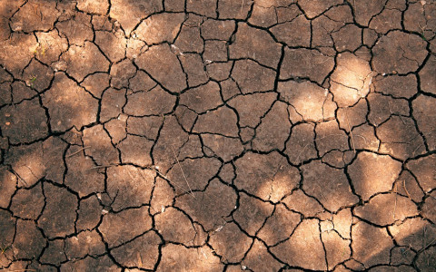 Drought Monitor Congressman Taylor